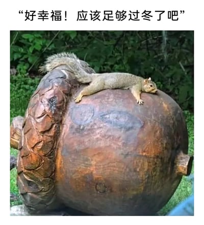 这是一张户外实拍的静态图，画面主体是一只浅棕色的松鼠，它四肢放松地趴在一个大型木雕橡果的顶部，神态看起来满足又惬意，仿佛正为拥有这颗“巨型储备粮”感到安心。背景是户外的草地与绿植，充满自然气息。图片上方配有拟人化文字“好幸福！应该足够过冬了吧”，用趣味的方式放大了松鼠看到超大橡果时的满足感，营造出温馨又可爱的氛围。