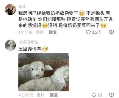 这张图展示了一段有趣的网络评论对话，配合图片内容让人忍俊不禁。主评论者抱怨房间里总是被奶奶放杂物，似乎什么东西都可能放进来，深夜听声音总像是有车辆开进来，结果真相是奶奶买菜回来顺便在屋里养了两只羊。楼中回复者po出了屋里两只真正小羊的照片，配合表情包，幽默感拉满。图片和对话内容形成了“屋里养羊”这种离谱又真实的反差感，非常沙雕。

谐音梗/暗示：没有明显谐音梗、暗示，但搞笑点在于“养羊“的强烈生活反差和评论的文字幽默。