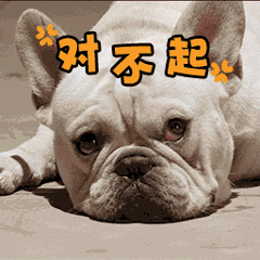 法斗犬