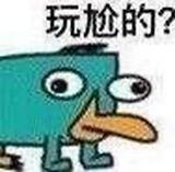 鸭嘴兽泰瑞