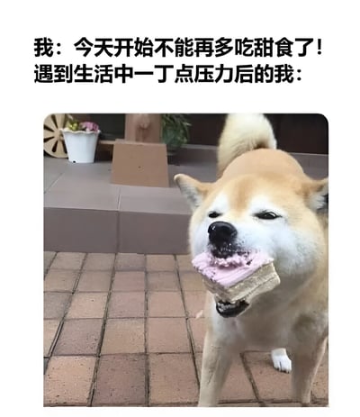 这张梗图上方配有两行文字：“我：今天开始不能再多吃甜食了！遇到生活中一丁点压力后的我：”，下方是一只柴犬嘴里叼着一块带有粉色奶油的蛋糕，表情满足地站在铺着地砖的地面上。图片通过对比的方式，幽默地展现了人们信誓旦旦要戒甜食，却在遇到一点压力后就立刻放弃的真实状态，非常贴近生活，容易引起共鸣。
