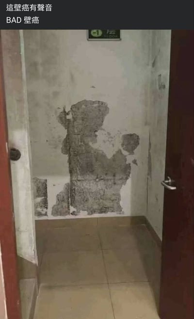 图片展示了一段墙壁严重剥落的走廊场景，墙面大面积灰黑色霉斑及剥落痕迹，典型的“壁癌”（因潮湿导致的墙壁损坏）现象。图片顶部配有文字“這壁癌有聲音 BAD 壁癌”，通过谐音和拟人化手法制造笑点：将物理性的“壁癌”（墙壁损坏）幽默地赋予“有声音”的特质，搭配“BAD”强化调侃语气，暗讽墙壁损坏程度严重到仿佛会“发声抱怨”，整体风格轻松搞笑，用于吐槽房屋质量问题。