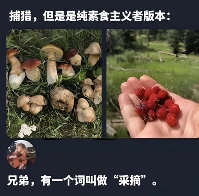 图片为左右对比的图文混排内容。左侧画面展示了草地上的多种蘑菇，右侧画面是一只手捧着新鲜的红色浆果。上方文字标注“捕猎，但是是纯素食主义者版本：”，下方文字则幽默纠正“兄弟，有一个词叫做‘采摘’。”。通过“捕猎”与“采摘”的语义反差制造笑点，调侃将素食采集行为夸张称为“捕猎”的有趣表达。