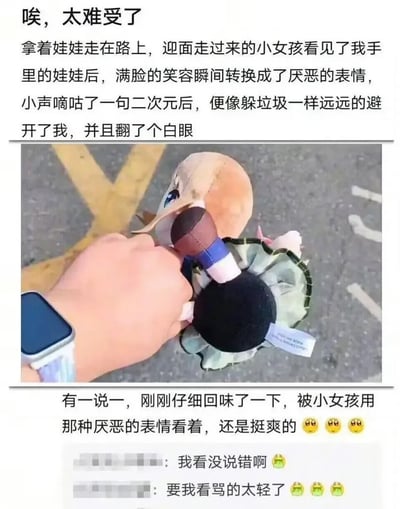 这是一则图文混排的社交媒体分享内容，上方为博主发文：先是吐槽自己拿着二次元风格毛绒娃娃走在路上时，迎面遇到的小女孩看到娃娃后立刻从笑容转为厌恶，小声嘀咕“二次元”后像躲避垃圾一样远远躲开还翻了白眼；中间配图为博主的手握着该二次元毛绒玩偶，背景是沥青马路路面，博主手腕佩戴着智能手表；下方博主又反转表示，回味过来被小女孩用厌恶的眼神看着反而觉得挺爽，附带三个挑眉表情。最底部是两条匿名网友评论，分别表示“我看没说错啊”“要我看骂的太轻了”，均搭配呕吐青蛙表情，反向调侃对二次元的偏见。