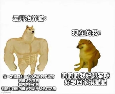 这张梗图采用了经典的“刚开始 vs 现在”对比模板，左侧是肌肉发达、信心满满的Doge，代表刚开始养猫的决心：做最棒的铲屎官、买最好的东西、给猫咪最好的生活。而右侧是一只瘪瘪的Doge，显得无精打采、很丧，只想回家摸猫，体现猫奴不断被现实打磨后只剩下单纯思念猫咪的心态。整体风格幽默搞笑，具有很强的共鸣感。