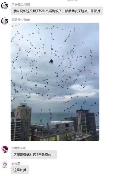 这是一则社交平台的聊天记录截图，首先用户“风语·星尘·琉璃”分享称自己的朋友说夏天没怎么见过蚊子，随后附上了一张从高层住宅窗边拍摄的照片：照片里可以看到远处的城市高楼、海面与阴天的天空，而面前的窗玻璃上爬满了被蜘蛛捕获的蚊子，玻璃中间还有一只大蜘蛛。随后其他用户在评论区玩梗，用户“沉默的东风”调侃称“这哪是蜘蛛？这TM是恩公！”，用户“辰雨洛”接着补刀“这是他爹”，整体内容轻松搞笑，用夸张的调侃赞美蜘蛛帮人消灭蚊子的效果。
