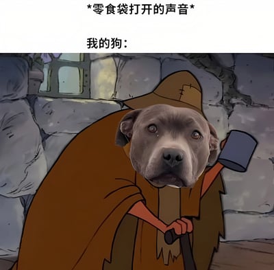 图片上方配有文字“*零食袋打开的声音* 我的狗：”，下方是一只狗的头部被拼接到卡通人物身上的图像。狗的面部表情警觉且带着期待，身体穿着棕色的斗篷和帽子，手持一盏灯笼，背景是石墙和窗户，营造出一种类似侦探或冒险者的严肃氛围。通过将狗对零食声音的敏感反应与严肃的卡通形象结合，形成幽默反差，调侃狗狗对零食声音的极致关注。