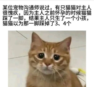 这是一张图文混排的静态单图，上方是一段充满脑洞的搞笑文案，内容为：某位宠物沟通师说过，有只猫猫对主人很愧疚，因为主人之前怀孕的时候猫猫踩了一脚，结果主人只生了一个小孩，猫猫以为那一脚踩掉了3、4个。下方配了一只橘猫的照片，这只橘猫眼睛湿润，神情委屈又愧疚，看起来可怜巴巴的，完美契合了文案中猫猫愧疚的心态，通过拟人化的设定，把猫咪的行为赋予了搞笑的人类心理活动，制造出诙谐有趣的效果，十分贴合宠物爱好者的趣味点。