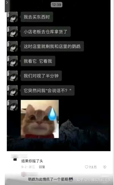 这是一张知乎平台的搞笑内容截图，内容分为两部分：上方是楼主以聊天记录形式讲述的段子，楼主称自己买东西时，小店老板去仓库拿货，店内只剩自己和一只鹦鹉，对视半分钟后，鹦鹉突然问自己“会说话不？”，并搭配了一张流汗猫咪的表情包，传递出尴尬无奈的情绪；下方是两条高赞评论，第一条评论“结果你摇了头”收获7.3万赞，第二条评论“鹦鹉为此愧疚了一个星期”还搭配了笑哭表情。这个段子的笑点在于，若楼主以摇头回应鹦鹉的问题，就等于用行动证明自己能做出回应，但鹦鹉会误以为对方是不会说话的人，自己的问题戳中了对方的“痛处”，因此产生愧疚，形成了荒诞又搞笑的逻辑闭环。