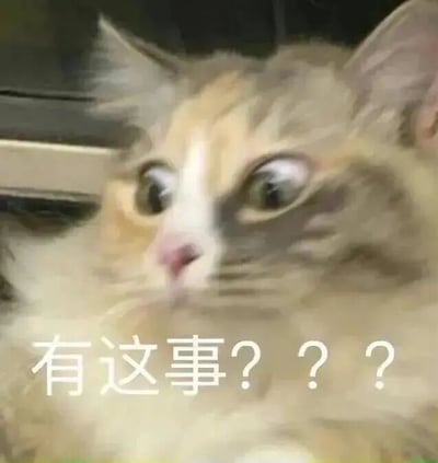 图片主体是一只橘白相间的猫咪，它双眼圆睁，瞳孔放大，耳朵微微竖起，表情呈现出极度震惊和疑惑的样子。图片底部覆盖着白色文字“有这事？？？”，文字与猫咪的表情形成呼应，强化了对意外事件的惊讶反应。整体画面清晰，猫咪的毛发细节和神态捕捉生动，适合用于表达对突然得知某事时的震惊情绪。