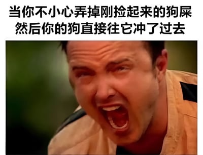这是一张搞笑反应梗图，上方配有文字“当你不小心弄掉刚捡起来的狗屎然后你的狗直接往它冲了过去”，下方是一张演员威尔·法瑞尔的特写截图。图中人物眉头紧锁，眼睛瞪大，嘴巴大张，表情极度夸张，完美展现了宠物主人遇到这种突发状况时的惊恐、愤怒和崩溃情绪。