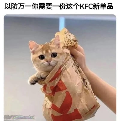 一只橘色的英短小猫咪被装在KFC的外卖纸袋中，只露出圆乎乎的脑袋和一只搭在袋口的爪子，被一只手提着，猫咪睁着大大的眼睛，表情无辜又可怜。上方配文「以防万一你需要一份这个KFC新单品」，将可爱的猫咪调侃成KFC的新品，用可爱的反差感制造搞笑趣味效果。