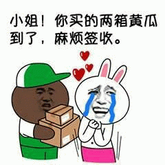 快递员送两箱黄瓜，兔子哭着签收