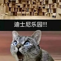 惊讶猫