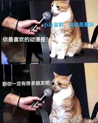 这是一张由上下两部分组成的连环梗图，模拟采访场景。上半部分中，一只黄白相间的真实猫咪坐在椅子上，面对一只递来的麦克风，采访者的提问文字为“你最喜欢的动漫是？”，猫咪对应的回答文字是“小马宝莉，友谊是魔法”，此时猫咪神态平静；下半部分延续采访场景，采访者的提问变为“那你一定有很多朋友吧”，原本平静的猫咪此刻眼眶含泪，面露委屈难过的神情。整张图利用《小马宝莉》主打“友谊”的核心主题，与猫咪（代指现实中喜欢这部作品却孤独无友的人）的委屈状态形成强烈反差，精准戳中社恐、孤独爱好者的情绪痛点，以幽默又扎心的方式引发共鸣。