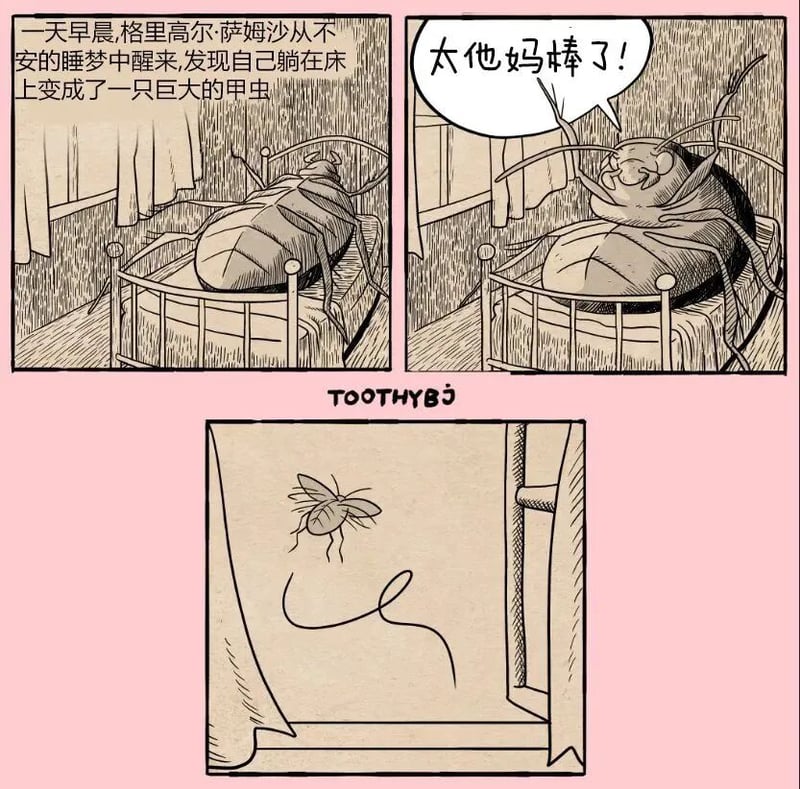 变形记