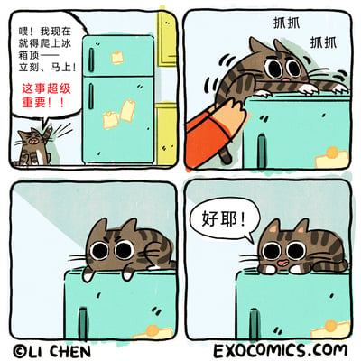 这是一幅四格手绘搞笑连环漫画，描绘了一只虎斑小猫急切地向主人呼喊，声称必须立刻爬上冰箱顶，还强调这事超级重要。随后主人辅助小猫爬上冰箱顶，小猫趴在冰箱顶先是露出一脸茫然的表情，紧接着就开心地欢呼“好耶！”，展现出猫咪单纯可爱、没有明确目的的小日常，充满萌趣和笑点，还原了宠物无厘头的可爱行为。