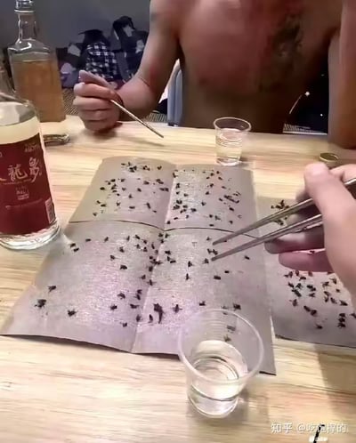 图中两人赤膊坐在桌前，桌上摆着一瓶白酒和几个酒杯，最引人注目的是居中摆放着大面积的苍蝇粘贴纸，上面密密麻麻黏满了苍蝇。一人手持镊子仿佛要夹苍蝇犹如夹菜入杯，场面既搞笑又带点“硬核”黑暗意味。整体充满恶搞性质，仿佛在调侃饭局太简陋甚至无所不吃，还蕴含某种生活无奈或荒诞，具有强烈的视觉冲击力和反差感，也容易让人联想到“东北喝酒局”、“苦中作乐”一类的网络梗。

本图包含一定的黑色幽默和讽刺意味，将苍蝇贴作为餐桌美食进行模拟，有模拟“吃火锅夹菜”与“下酒菜”意象的双关梗。