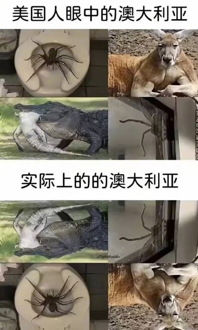 这是一张上下拼接的对比梗图，上半部分标题为“美国人眼中的澳大利亚”，放置了四张图片，分别是马桶里的巨型蜘蛛、肌肉发达的袋鼠、水边的鳄鱼、窗边的大蜘蛛，对应了外界尤其是美国人对澳大利亚到处都是巨型有毒野生动物的常见刻板印象；下半部分标题为“实际上的的澳大利亚”，将上述四张图全部做了上下颠倒处理，利用澳大利亚位于南半球、在北半球主流视角的世界地图中澳大利亚处于地图下方位置，整体是颠倒的这一地理知识点，制造出反差笑点完成玩梗。