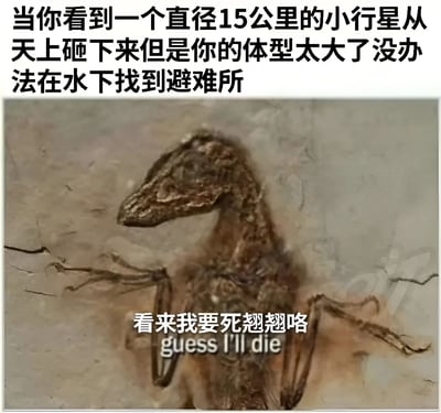 图片上方配有文字“当你看到一个直径15公里的小行星从天上砸下来但是你的体型太大了没办法在水下找到避难所”，下方是一具恐龙化石的图像，化石下方叠加文字“看来我要死翘翘咯 guess I'll die”。整体通过将恐龙化石与小行星撞击导致灭绝的科学假说结合，用幽默自嘲的方式演绎了恐龙面对灾难时的“无奈”，属于科普主题的搞笑梗图。