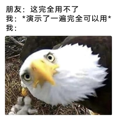 这是一张图文结合的搞笑梗图，上方文字构建了一个贴近日常的场景：朋友声称某个物品或功能完全无法使用，“我”当场演示了一遍，证明它可以正常使用，最后配上白头海雕瞪大双眼、歪着脑袋的疑惑表情图，精准地表现出“我”在演示之后，对朋友说用不了这件事的不解与困惑，仿佛在疑惑“明明可以正常使用，你怎么就用不了呢”，用动物的迷惑表情放大了这种日常中的小矛盾与疑惑情绪，十分生动有趣。