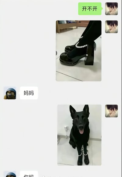这是一张截选的社交软件聊天记录截图，聊天双方分别使用动漫风格男性头像和光头强戴头盔的沙雕头像。右侧用户首先发送文字询问「开不开」，随后发出一张人物穿着带珍珠装饰的黑色粗跟厚底小皮鞋、搭配黑色长袜的腿部照片；左侧用户回复「妈妈」，紧接着右侧用户又发出一张黑色德牧犬端正坐着、前爪穿戴了和前一张图同款的小皮鞋、脚踝处也配有珍珠装饰的照片，最下方左侧用户的第二条回复仅露出「你妈」二字就被截断，通过鞋子穿戴对象的反差和未展示完整的回复制造笑点。