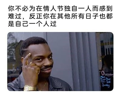这是一张顶配底文的静态梗图，上方配有针对单身人群的扎心调侃文字，内容为“你不必为在情人节独自一人而感到难过，反正你在其他所有日子也都是自己一个人过”，用自嘲式的幽默戳中单身群体的日常状态；下方是一张国外男性的真人照片，该男性面带戏谑的微笑，用手指抵在太阳穴位置，做出“点醒他人”的手势，表情与动作完美配合上方文字，放大了这种看破真相式的调侃效果，整体风格搞笑又扎心，精准贴合情人节单身群体的自嘲情绪。