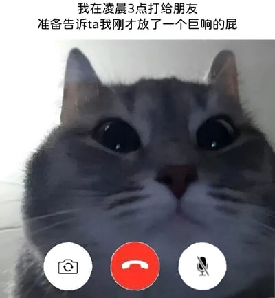 图片上方配有文字“我在凌晨3点打给朋友 准备告诉ta我刚才放了一个巨響的屁”，下方是一只灰色猫咪的近距离特写，猫咪双眼瞪得极大，眼神中带着夸张的惊讶感，直视镜头。图片底部叠加了类似手机通话界面的三个圆形按钮，从左到右分别是白色相机图标、红色电话图标和白色带斜杠麦克风图标，整体营造出一种猫咪深夜要打电话分享趣事的搞笑场景。