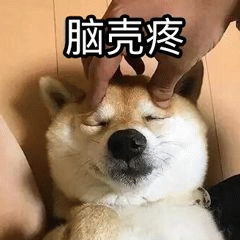 柴犬脑壳疼表情包