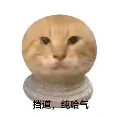 这是一张经过P图合成的搞笑表情包，将猫咪的脸部与类似印章的圆台底座合成在一起，猫咪的脸被处理得圆鼓鼓的，表情严肃中带着点委屈。图下配文“挡道，纯哈气”，用来表达自己只是占着位置挡路，没有实际的恶意行动，只是摆着样子“哈气”，传递出一种无奈又带点摆烂的搞笑氛围，适合在聊天时表达自己处于消极占位的状态。