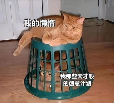 图片中一只橘猫慵懒地趴在绿色塑料筐顶部，身体舒展，眼神淡漠；筐内另有一只橘猫（疑似同一只猫的创意构图），从网格缝隙中探出头，眼神略带期待。上方文字“我的懒惰”对应筐上猫的状态，右侧文字“我那些天才般的创意计划”对应筐内猫，通过猫咪的不同状态幽默对比了人们常有的“想法丰富却行动懒惰”的矛盾心理。