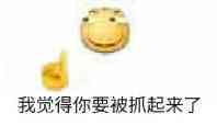 我觉得你要被抓起来了