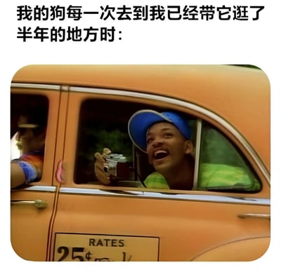 图片上方配有文字‘我的狗每一次去到我已经带它逛了半年的地方时：’，下方是一张电影截图，图中一名戴着蓝色帽子的男子从橙色汽车的车窗探出头，手持相机，脸上洋溢着夸张的兴奋笑容，以此幽默地表现狗狗即使到熟悉的地方仍像第一次来一样激动的状态。