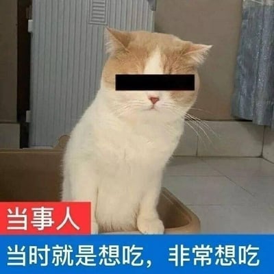 一只橘白相间的猫咪坐在类似浴室的环境中，眼睛被黑色长条遮挡（类似打码效果）。图片下方有蓝色背景的白色文字：'当时就是想吃，非常想吃'，左下角有红色背景的白色文字标签'当事人'。这张图片通过拟人化的方式，用猫咪形象配合文字，幽默地表达了强烈的想吃东西的欲望。