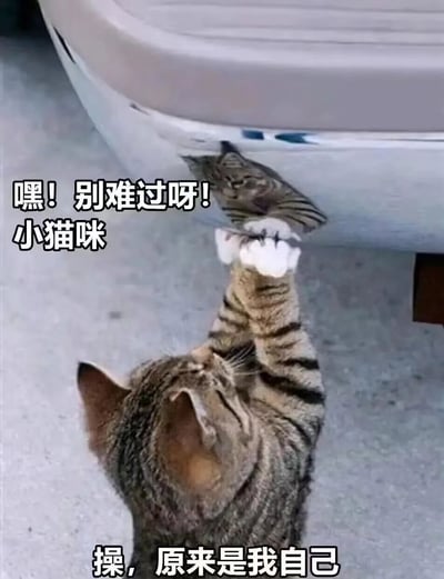 图片中一只虎斑猫正站立着，抬起前爪伸向下方白色物体（疑似汽车保险杠或家具底部）上的倒影，仿佛想安慰“另一只小猫”。左侧文字“嘿！别难过呀！小猫咪”模拟了小猫对倒影的安慰语气，而底部文字“操，原来是我自己”则表现出小猫发现倒影是自己后的恍然大悟，形成幽默反差。整体画面可爱又搞笑，通过猫咪的天真行为传递出轻松治愈的氛围。