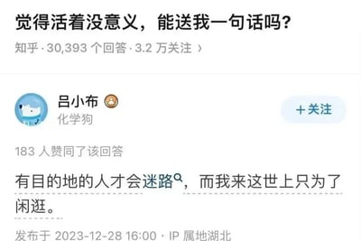这是一张知乎问答的截图，问题为“觉得活着没意义，能送我一句话吗？”，该问题有30,393个回答和3.2万关注。用户“吕小布”（简介为“化学狗”）的回答获得了183人赞同，内容为“有目的地的人才会迷路，而我来这世上只为了闲逛。”，回答发布于2023-12-28 16:00，IP属地显示为湖北。