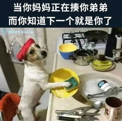 这是一张充满生活幽默感的静态搞笑梗图，画面主体是一只戴着红色头巾的小狗，它两只前爪搭在厨房台面上，其中一只爪子拿着清洁海绵放在黄色盘子上，做出正在洗碗的样子，小狗的眼神看向一侧，表情显得紧张又忐忑。图片上方配有醒目的白色文字“当你妈妈正在揍你弟弟 而你知道下一个就是你了”，通过拟人化的手法，将小狗的行为类比成孩子在目睹家长教训兄弟姐妹后，试图通过表现乖巧、主动做家务来避免自己被教训的状态，精准还原了那种害怕挨揍又想自救的微妙心情，让有类似经历的人能产生强烈共鸣。