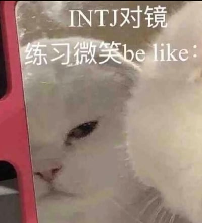 这是一张MBTI相关的搞笑表情包，画面上方叠加了两行白色文字，内容为“INTJ对镜 练习微笑be like：”，画面主体是隔着有些模糊的镜面拍摄到的白色猫咪，猫咪半睁着眼睛，面部神态高冷、紧绷，甚至略带凶感，完全没有微笑的柔和感，夸张地演绎了INTJ型人格刻意练习友好表情时效果违和、不符合预期的状态，充满调侃趣味。