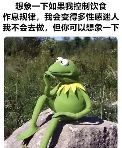 图片上方为黑色文字：“想象一下如果我控制饮食作息规律，我会变得多性感迷人 我不会去做，但你可以想象一下”。下方是卡通角色Kermit the Frog（科米蛙）坐在一块石头上，背景是绿色草地和树木。科米蛙呈绿色，颈部有黄色装饰，正单手托腮，眼神望向一侧，表情显得若有所思，整体营造出一种幽默自嘲的氛围，表达了人们对健康生活方式的想象与现实中不愿行动的矛盾心理。