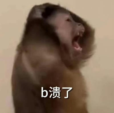 一只猴子张大嘴巴，表情激动地咆哮，背景为单一的浅色。图片底部有白色文字'b溃了'，其中'b溃了'是网络流行的谐音梗，谐音'崩溃了'，用来表达极度的沮丧或情绪失控。
