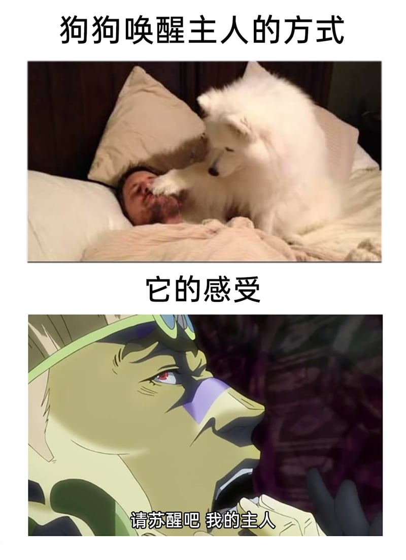 空条承太郎