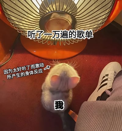 一只小老鼠仰头望着电暖器，配文将电暖器比作'听了一万遍的歌单'，将老鼠比作'因为太好听而激动的我'，用可爱动物的反应幽默表现对喜爱音乐的强烈反应。