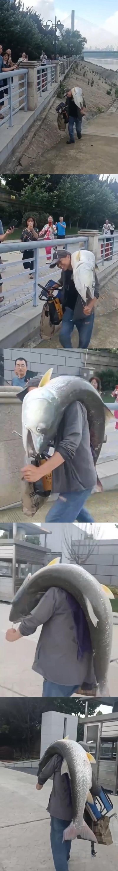 这是一组由多张实拍照片拼接而成的画面，记录了一位戴帽子的男子将一条体型近乎与自己相当的巨型大鱼扛在肩头，沿着滨江步道前行的场景。男子面带笑意，看起来对自己的收获十分得意，手中还提着渔具包；步道另一侧的路人们纷纷拿出手机拍照记录，对这条罕见的大鱼充满好奇，场面显得新奇又热闹。