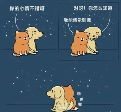 这是一张三格连环卡通图，背景为深蓝色星空。第一格中，黄狗面向橘猫说“你的心情不错呀”；第二格中，橘猫转头回应“对呀！你怎么知道”，黄狗温柔地说“我能感觉到哦”；第三格中，橘猫从黄狗身后轻轻拍它的背，旁边配有“啪啪啪”的拟声词。整体画面展现了猫咪和狗狗之间温馨治愈的互动，充满可爱的日常感。