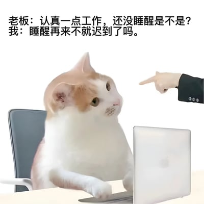 一张职场幽默梗图，画面中一只橘白相间的猫咪坐在办公椅上，面前放着笔记本电脑，表情迷茫地抬头看向右侧指向它的手指（代表老板）。图片上方配有对话文字：老板说'认真一点工作，还没睡醒是不是？'，猫咪（代表员工）回应'睡醒再来不就迟到了吗。'，用幽默方式表达了打工人早起上班的无奈和疲惫。