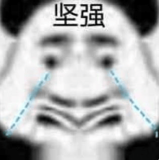 这张图片像是一张医学影像的搞笑二创梗图。画面主体为颅骨的CT或X射线扫描照片，中间有大面积模糊遮盖，给人留下悬念感，充满网络幽默。整体气氛脑洞大开，适合用来形容思维活跃或脑子不正常。没有明显谐音或暗示成分。