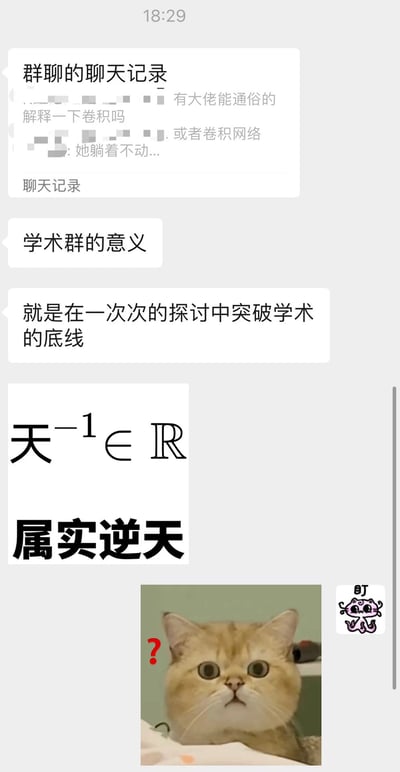 图片展示了一段学术群的聊天记录截图，包含多个幽默片段：首先有人询问“卷积”或“卷积网络”的通俗解释，得到“她躺着不动...”的调侃式回复；接着讨论“学术群的意义”，被定义为“在一次次的探讨中突破学术的底线”。下方出现数学表达式“天⁻¹ ∈ ℝ”（天的负一次方属于实数集），结合文字“属实逆天”形成谐音梗，“逆天”既指数学表达的夸张，也呼应网络用语中“厉害、离谱”的含义。最底部配有一张表情疑惑的橘猫图片，猫的左上方有红色问号，强化了对上述内容的困惑感，整体营造出学术群中轻松搞笑的交流氛围。