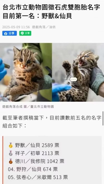 这是一张关于台北市立动物园为新生石虎双胞胎征名投票的图文内容，发布于2025年5月9日。图中展示了两只状态反差极大的小石虎：一只安静呆萌，对应候选名“仙贝”；另一只张牙舞爪、亢奋大叫，对应候选名“野兽”。目前“野兽&仙贝”以2589票位居征名投票第一名，同时还列出了其余四组高票名字组合，整体内容充满反差萌感，引发趣味讨论。