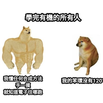 图片为左右对比的双图拼接梗图，左侧是一只拥有夸张肌肉线条的柴犬形象，右侧是一只表情悲伤、正常体型的柴犬。上方文字为“學完有機的所有人”，左侧肌肉柴犬下方配有文字“我懂任何合成方法 手一摸就知道電子往哪跑”，右侧悲伤柴犬下方配有文字“我的苯環沒有120”。通过夸张的肌肉柴犬代表学习有机化学后的自信想象，与悲伤柴犬代表实际掌握程度不足的现实形成反差幽默，调侃学习有机化学时理想与现实的差距。