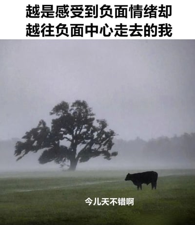 图片上半部分为黑色文字：'越是感受到负面情绪却越往负面中心走去的我'，下半部分是一张雾蒙蒙的自然场景图，画面中有一棵被风吹动的大树和一头站立在绿色草地上的黑牛，牛的下方有白色文字：'今儿天不错啊'。整体通过文字与画面的反差，幽默地表达了内心深陷负面情绪却表面强装平静的状态，没有双关或谐音梗。